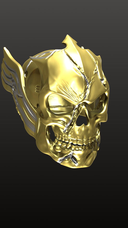 Damaged SKULL MANIA HELMET