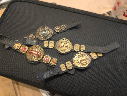 Belt bundle 1