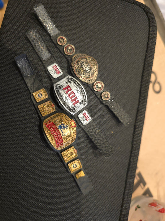 Belt bundle 4
