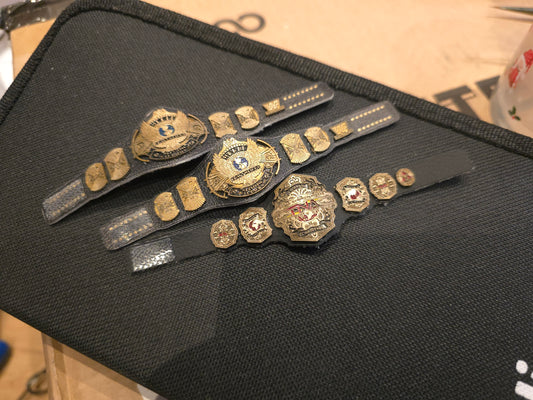 Belt bundle 2